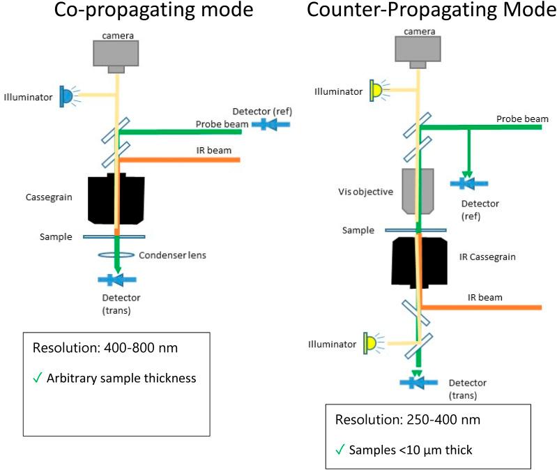 https://cdn.ncbi.nlm.nih.gov/pmc/blobs/2a13/11404004/87792622a39a/APPHD2-000009-091101_1-g012.jpg