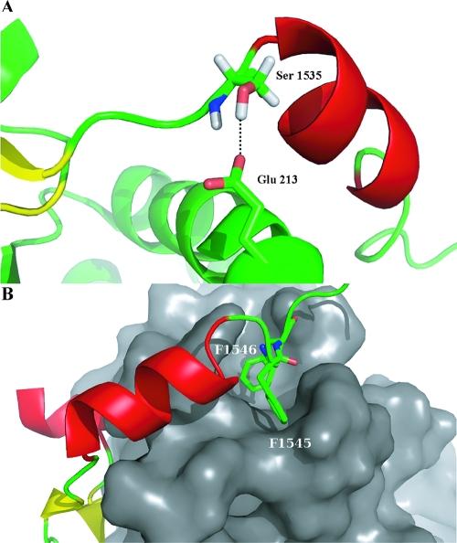 https://cdn.ncbi.nlm.nih.gov/pmc/blobs/2a13/2917172/a47dd3e26eb6/jm-2010-002974_0001.jpg