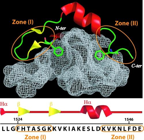 https://cdn.ncbi.nlm.nih.gov/pmc/blobs/2a13/2917172/d433110f53d4/jm-2010-002974_0006.jpg