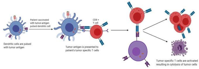 https://cdn.ncbi.nlm.nih.gov/pmc/blobs/2a13/7476347/c31ff0691ed2/10.1177_1756287220951404-fig1.jpg