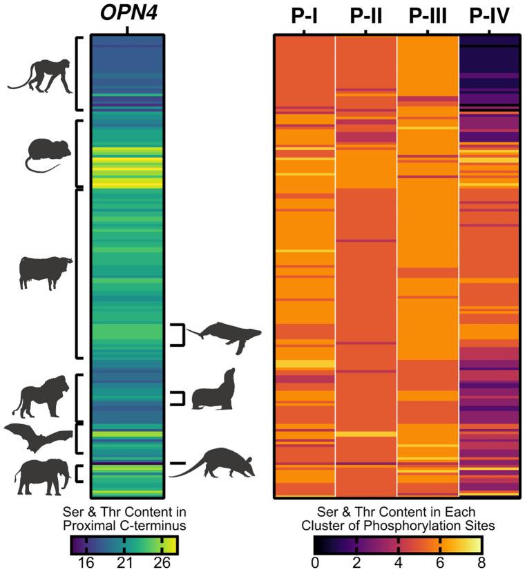 https://cdn.ncbi.nlm.nih.gov/pmc/blobs/2a13/8058843/10a7274d3839/10.1177_0748730421999870-fig5.jpg