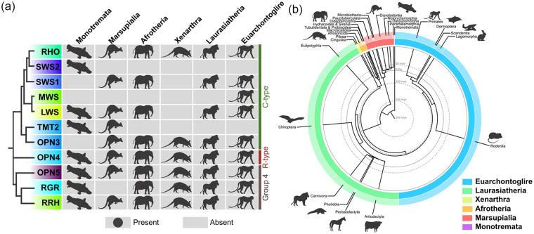 https://cdn.ncbi.nlm.nih.gov/pmc/blobs/2a13/8058843/901bd97cc428/10.1177_0748730421999870-fig1.jpg