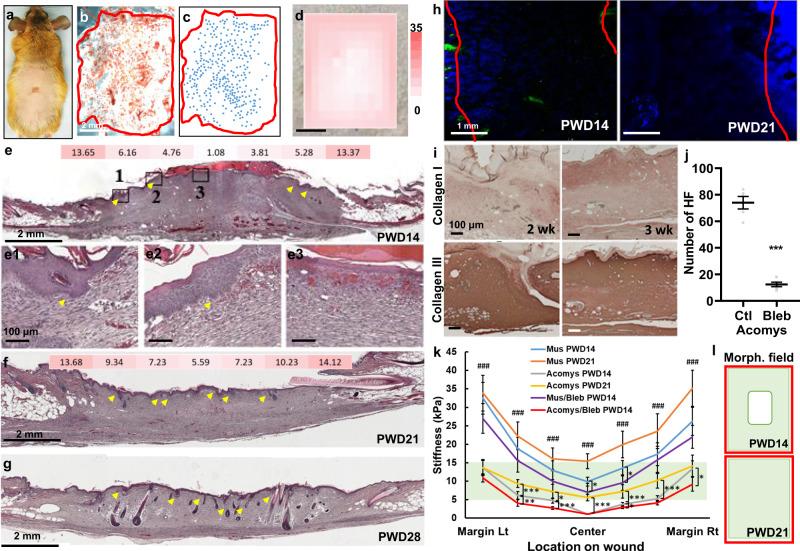 https://cdn.ncbi.nlm.nih.gov/pmc/blobs/2a13/8110808/90df4a2b487b/41467_2021_22822_Fig2_HTML.jpg