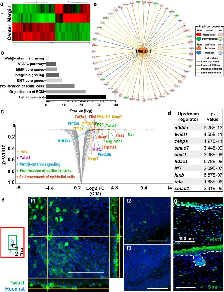 https://cdn.ncbi.nlm.nih.gov/pmc/blobs/2a13/8110808/d9e38ae14f5b/41467_2021_22822_Fig3_HTML.jpg