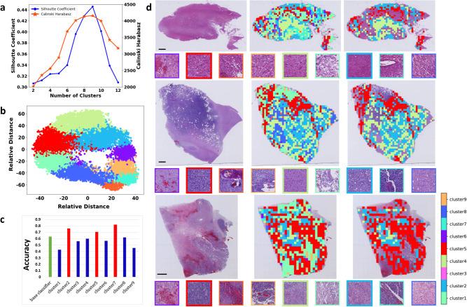 https://cdn.ncbi.nlm.nih.gov/pmc/blobs/2a14/10567721/da16873b8d9d/41467_2023_41195_Fig3_HTML.jpg
