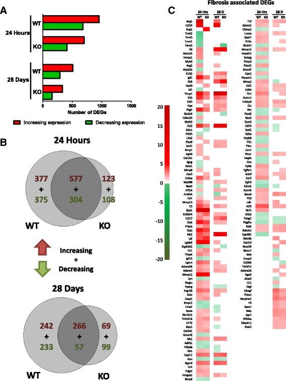 https://cdn.ncbi.nlm.nih.gov/pmc/blobs/2a14/5598059/8173eb2eb30a/12989_2017_218_Fig7_HTML.jpg