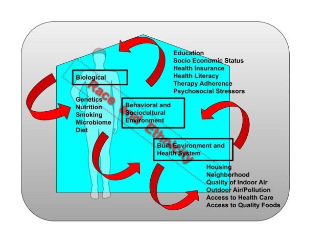 https://cdn.ncbi.nlm.nih.gov/pmc/blobs/2a15/8461584/12df8d95281a/yjbm_94_3_497_g02.jpg