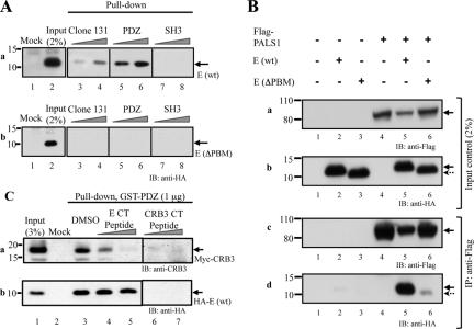 https://cdn.ncbi.nlm.nih.gov/pmc/blobs/2a16/2982091/3eb7602fba78/zmk0221096610004.jpg