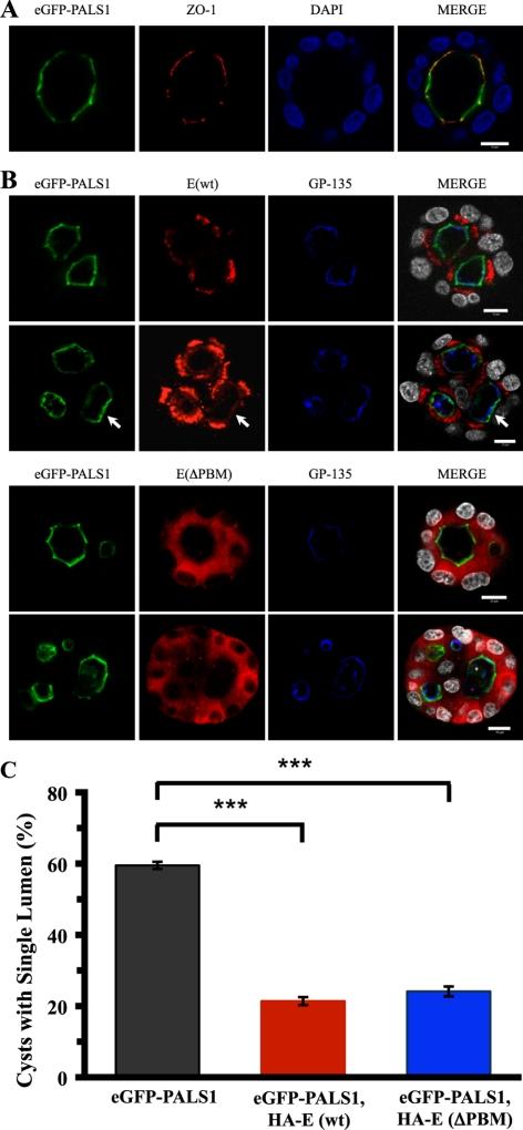 https://cdn.ncbi.nlm.nih.gov/pmc/blobs/2a16/2982091/50c8726a751e/zmk0221096610005.jpg