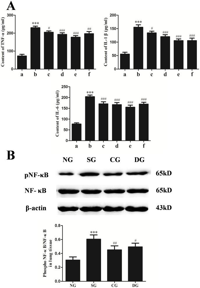 https://cdn.ncbi.nlm.nih.gov/pmc/blobs/2a17/4132109/1c3bfec88b87/pone.0104507.g002.jpg