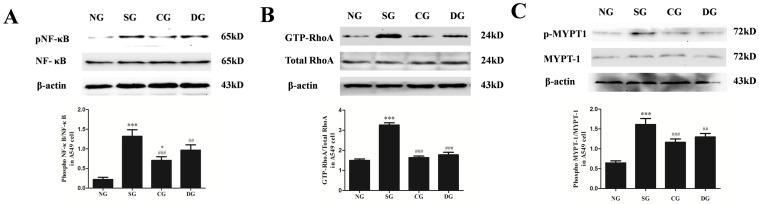 https://cdn.ncbi.nlm.nih.gov/pmc/blobs/2a17/4132109/31ea4657f854/pone.0104507.g004.jpg