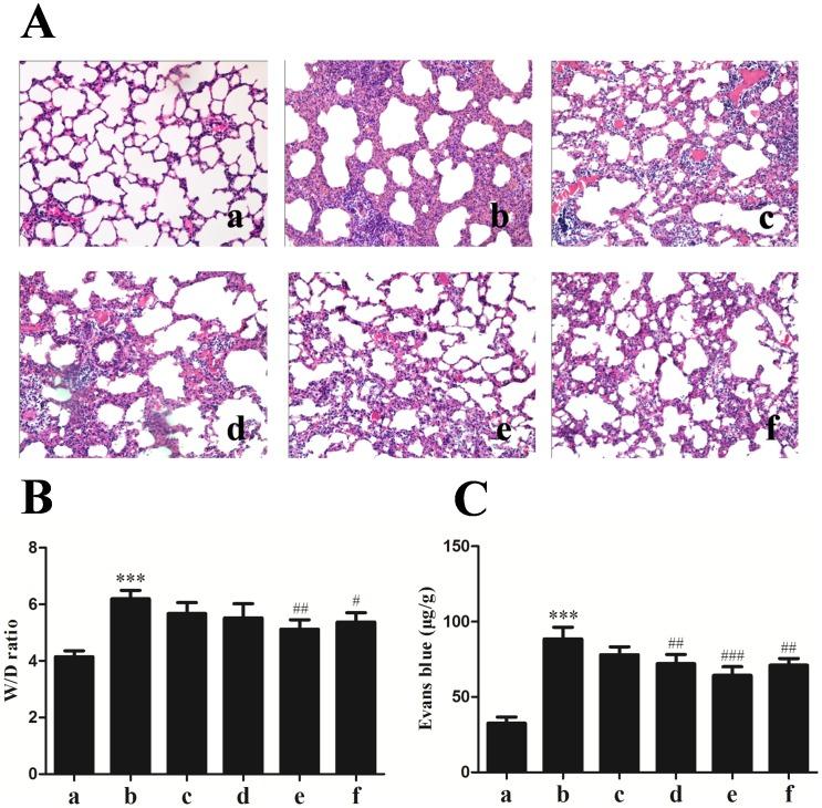 https://cdn.ncbi.nlm.nih.gov/pmc/blobs/2a17/4132109/5862c6cf22a0/pone.0104507.g001.jpg