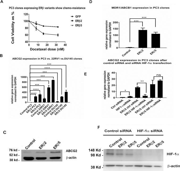 https://cdn.ncbi.nlm.nih.gov/pmc/blobs/2a19/6284737/bff8152cd213/oncotarget-09-36273-g003.jpg