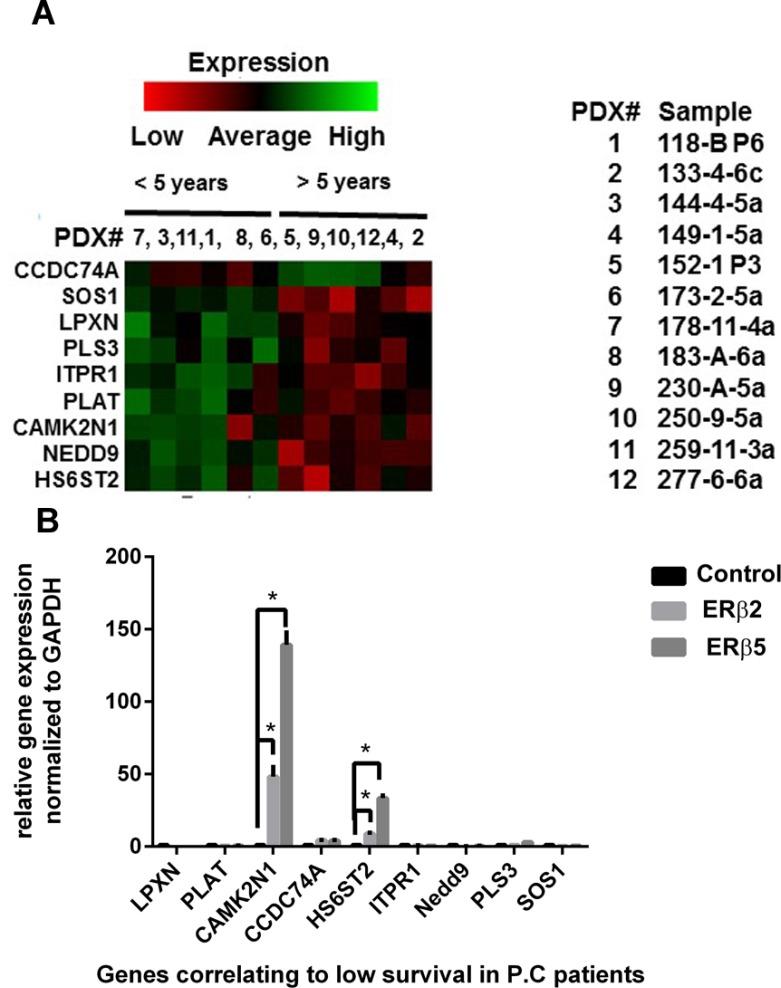https://cdn.ncbi.nlm.nih.gov/pmc/blobs/2a19/6284737/c2eb536a9d57/oncotarget-09-36273-g008.jpg