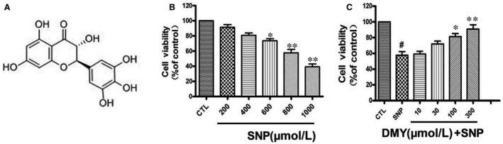https://cdn.ncbi.nlm.nih.gov/pmc/blobs/2a19/6584490/50c3a1be7a24/JCMM-23-4829-g001.jpg