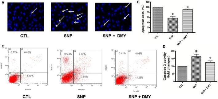 https://cdn.ncbi.nlm.nih.gov/pmc/blobs/2a19/6584490/c9d6d48faddc/JCMM-23-4829-g002.jpg