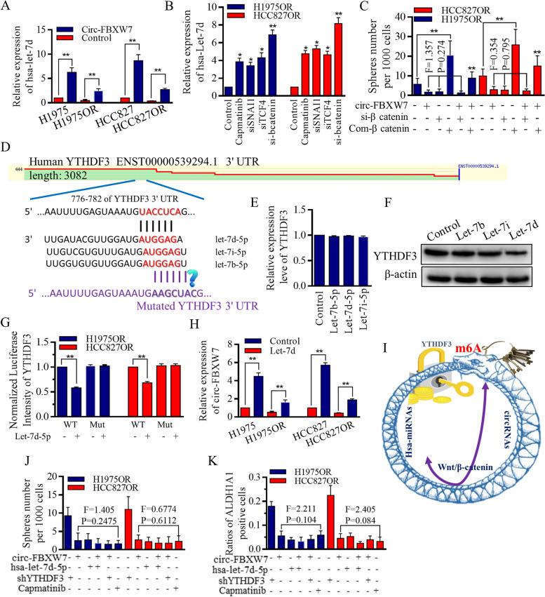 https://cdn.ncbi.nlm.nih.gov/pmc/blobs/2a1b/10314519/0b46135471f4/12943_2023_1811_Fig6_HTML.jpg
