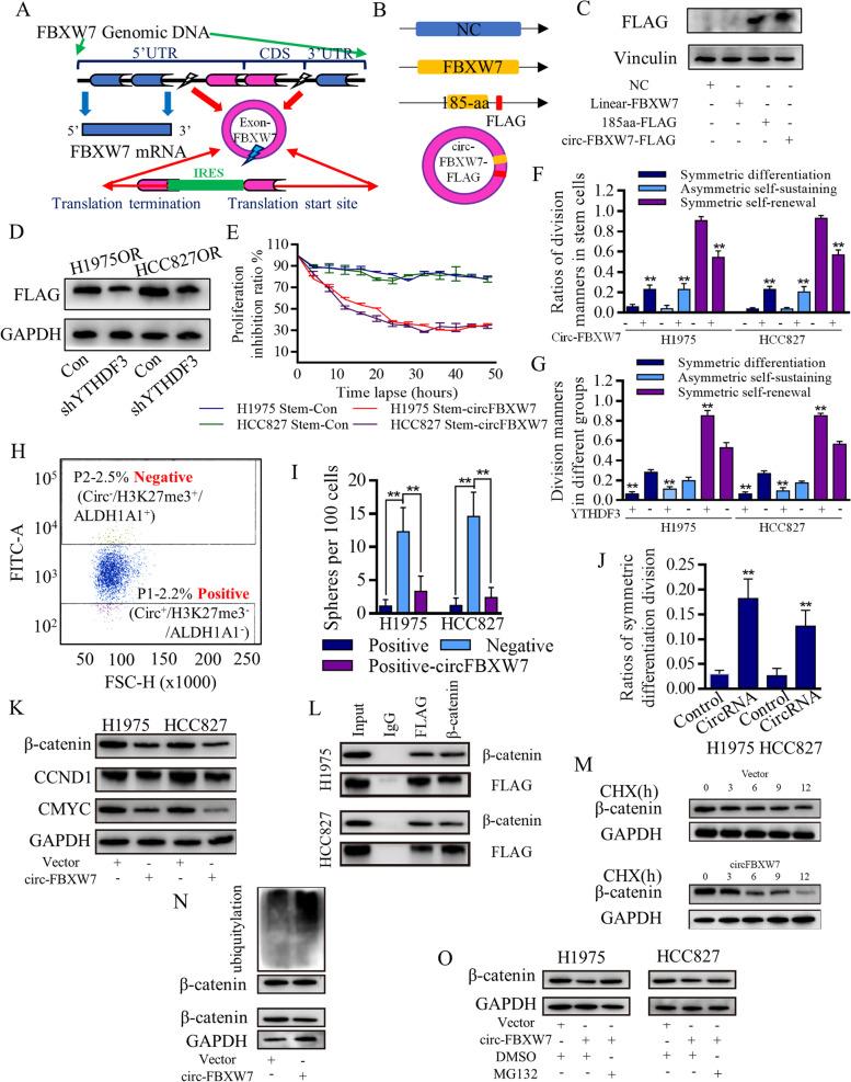 https://cdn.ncbi.nlm.nih.gov/pmc/blobs/2a1b/10314519/8eff5ede9b77/12943_2023_1811_Fig5_HTML.jpg