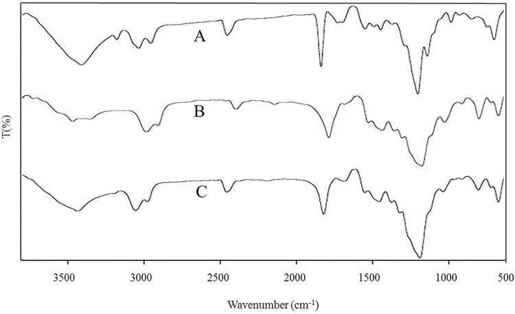 https://cdn.ncbi.nlm.nih.gov/pmc/blobs/2a1c/7032135/1202ed98891f/ajps430-fig-0002.jpg