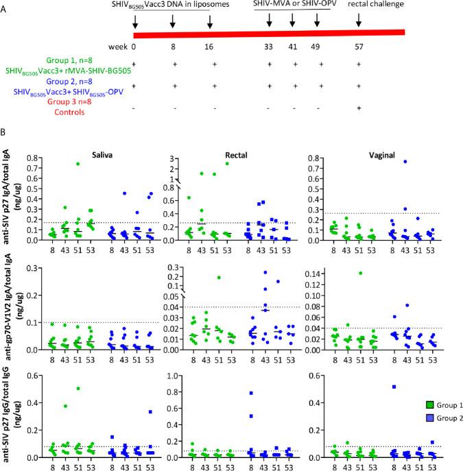 https://cdn.ncbi.nlm.nih.gov/pmc/blobs/2a1e/8256843/d9cd7f91bf1e/fimmu-12-702705-g002.jpg