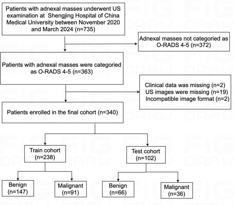 https://cdn.ncbi.nlm.nih.gov/pmc/blobs/2a20/12100863/2eb8062b04ed/40644_2025_883_Fig1_HTML.jpg
