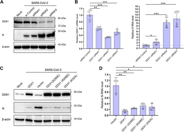 https://cdn.ncbi.nlm.nih.gov/pmc/blobs/2a24/10388591/2476c755ee6d/gr5.jpg