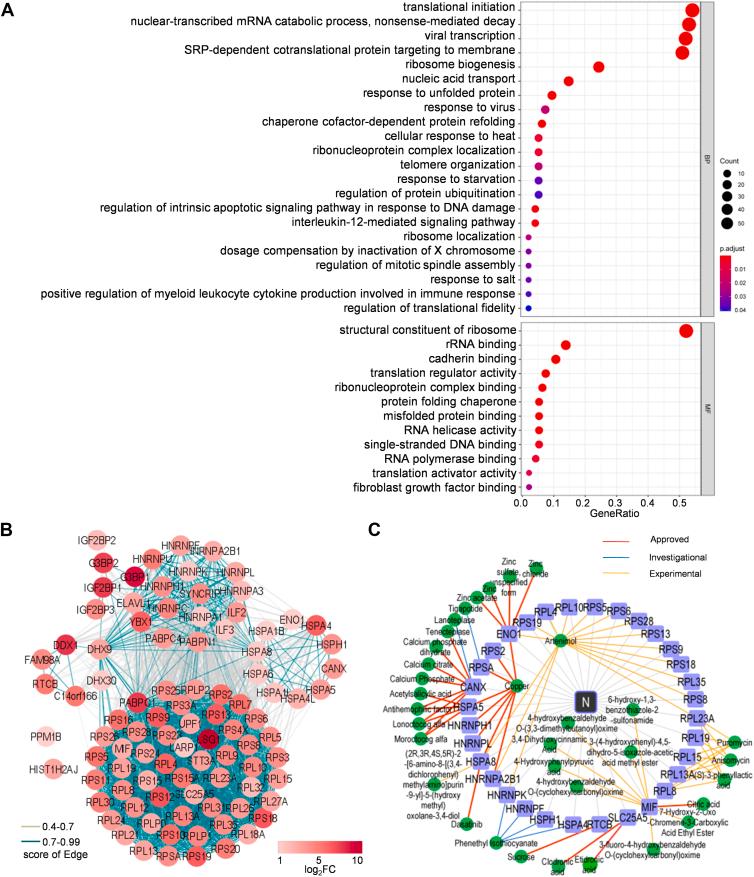 https://cdn.ncbi.nlm.nih.gov/pmc/blobs/2a24/10388591/6777b3534dfb/gr2.jpg