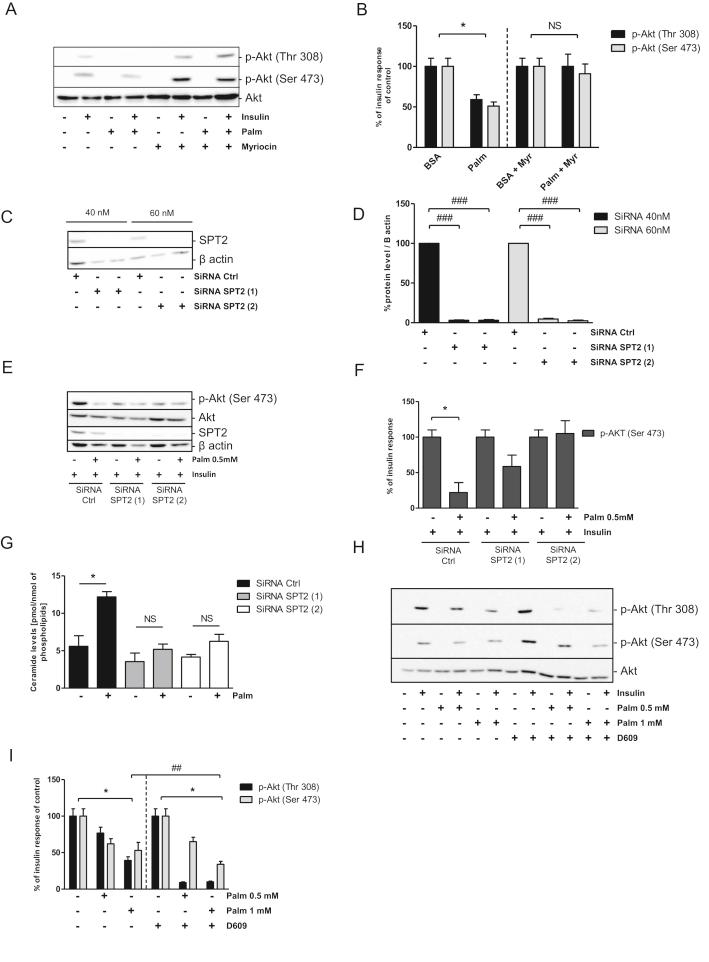 https://cdn.ncbi.nlm.nih.gov/pmc/blobs/2a25/5985020/23e1fc3218f8/gr4.jpg