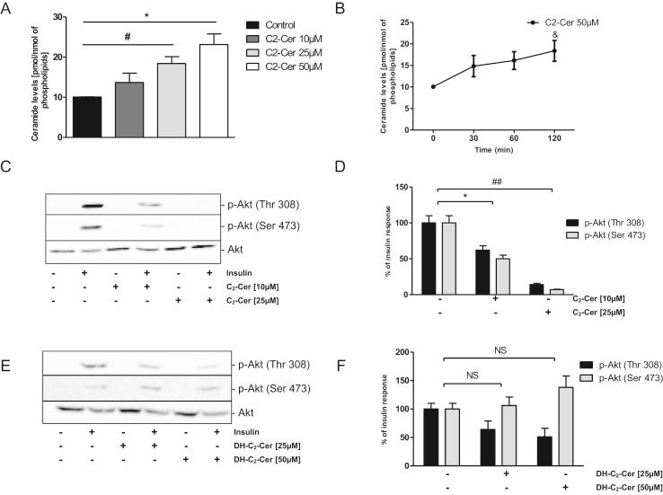 https://cdn.ncbi.nlm.nih.gov/pmc/blobs/2a25/5985020/a25ee9235bd2/gr2.jpg