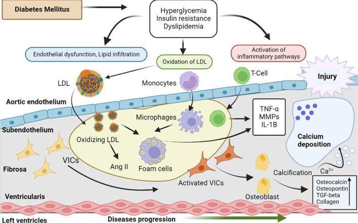 https://cdn.ncbi.nlm.nih.gov/pmc/blobs/2a26/10082141/370c36a006c6/43044_2023_345_Fig5_HTML.jpg