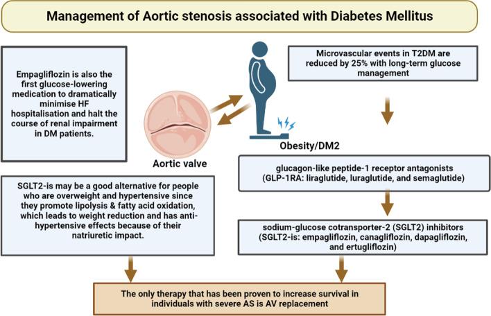 https://cdn.ncbi.nlm.nih.gov/pmc/blobs/2a26/10082141/4f36d9b2b095/43044_2023_345_Fig6_HTML.jpg