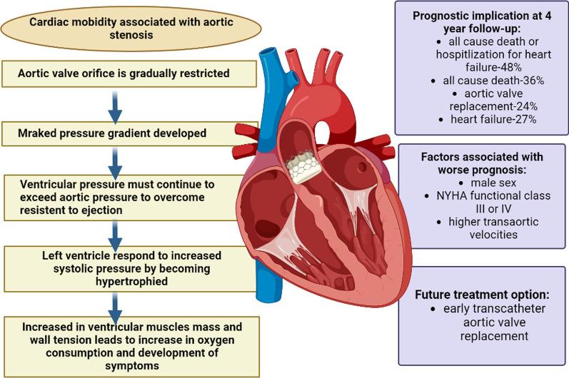 https://cdn.ncbi.nlm.nih.gov/pmc/blobs/2a26/10082141/f5b5e897a544/43044_2023_345_Fig4_HTML.jpg