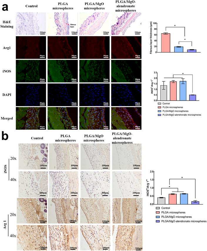 https://cdn.ncbi.nlm.nih.gov/pmc/blobs/2a26/7840811/0414b1ce9e8d/gr4.jpg