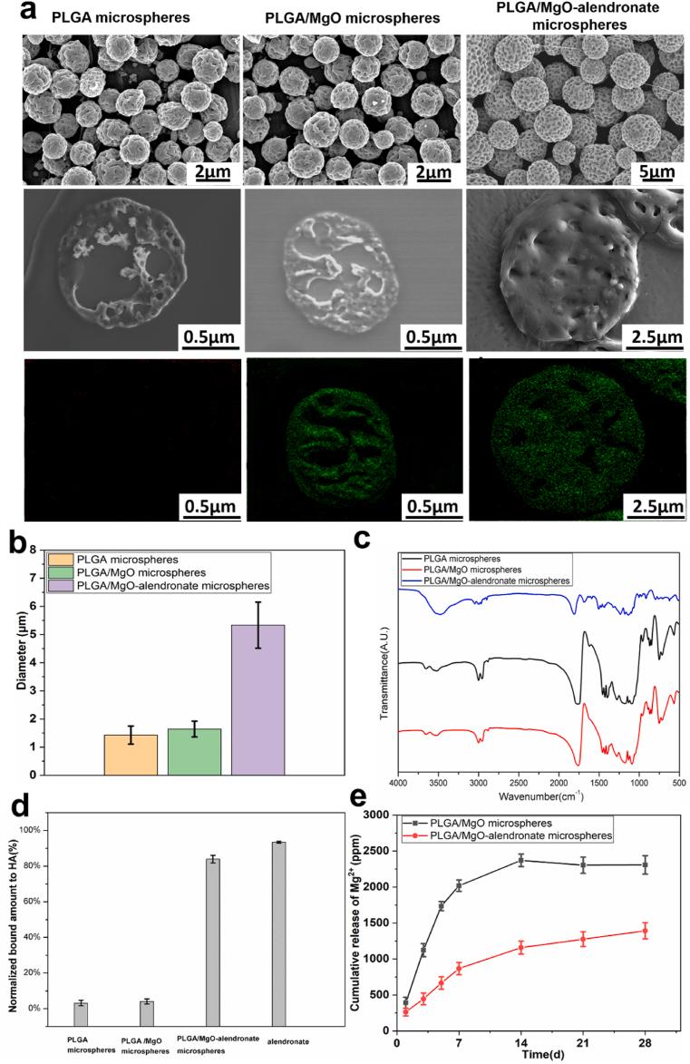 https://cdn.ncbi.nlm.nih.gov/pmc/blobs/2a26/7840811/21681639a9a1/gr1.jpg