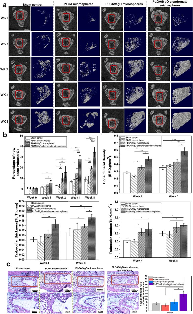 https://cdn.ncbi.nlm.nih.gov/pmc/blobs/2a26/7840811/6a276032bd8b/gr5.jpg