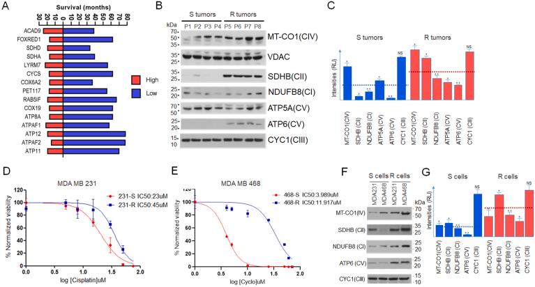 https://cdn.ncbi.nlm.nih.gov/pmc/blobs/2a27/12023887/bf291e87c18d/gr1.jpg