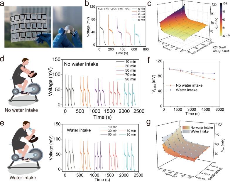 https://cdn.ncbi.nlm.nih.gov/pmc/blobs/2a28/12397256/2a0502408960/41467_2025_63549_Fig6_HTML.jpg