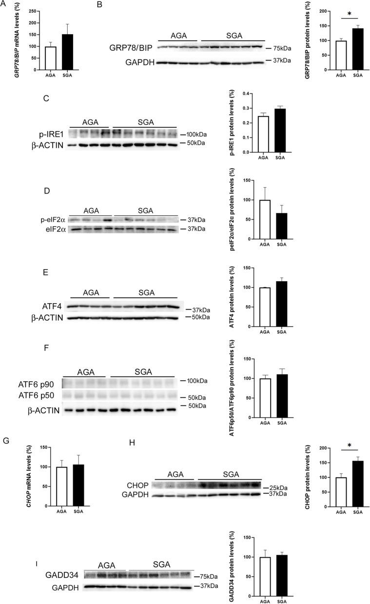 https://cdn.ncbi.nlm.nih.gov/pmc/blobs/2a29/10644500/a2ce41376101/12964_2023_1352_Fig2_HTML.jpg