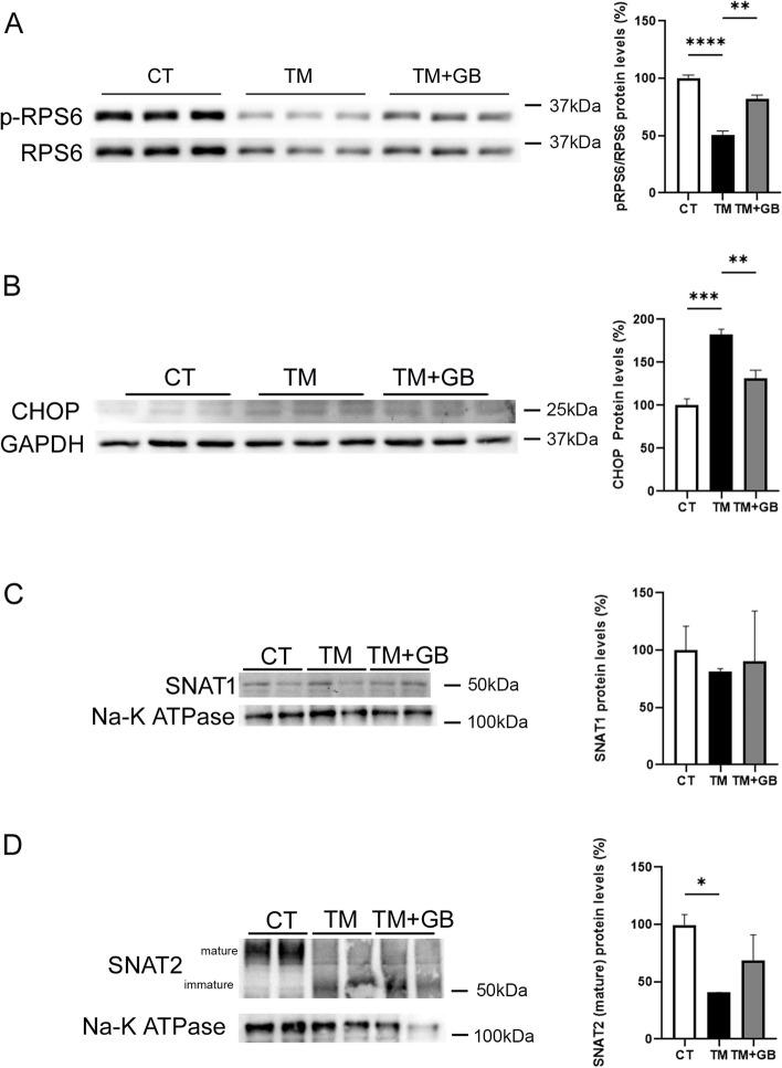 https://cdn.ncbi.nlm.nih.gov/pmc/blobs/2a29/10644500/ac9e1e150de1/12964_2023_1352_Fig5_HTML.jpg