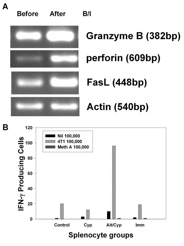 https://cdn.ncbi.nlm.nih.gov/pmc/blobs/2a2b/2998465/903fc955fe31/1471-2172-11-54-3.jpg