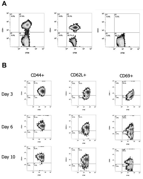 https://cdn.ncbi.nlm.nih.gov/pmc/blobs/2a2b/2998465/f22cbf79ff5f/1471-2172-11-54-6.jpg