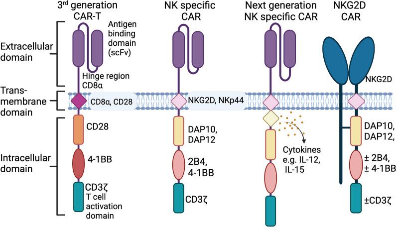 https://cdn.ncbi.nlm.nih.gov/pmc/blobs/2a2e/11384716/3bb68ea4d86b/12951_2024_2746_Fig4_HTML.jpg