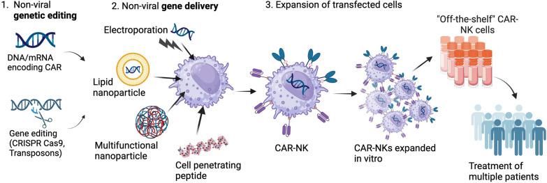 https://cdn.ncbi.nlm.nih.gov/pmc/blobs/2a2e/11384716/8ca9b3d7d891/12951_2024_2746_Fig5_HTML.jpg
