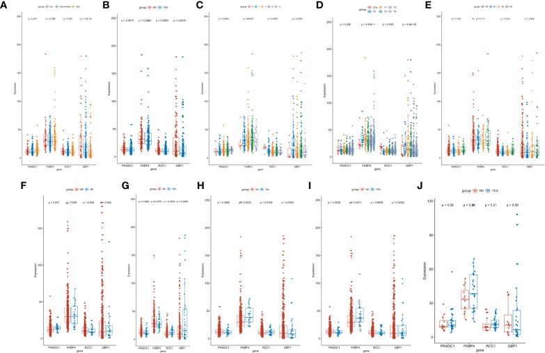 https://cdn.ncbi.nlm.nih.gov/pmc/blobs/2a2e/7653056/190b28dbf31b/fonc-10-577072-g007.jpg