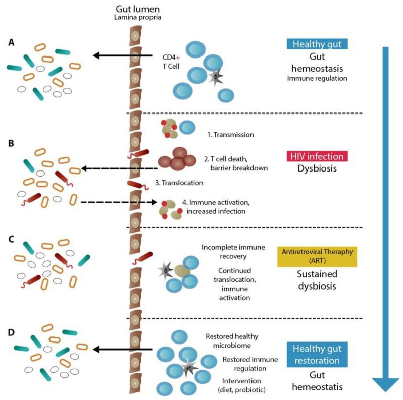 https://cdn.ncbi.nlm.nih.gov/pmc/blobs/2a33/9782003/0506bd16e749/microorganisms-10-02382-g001.jpg