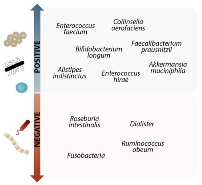 https://cdn.ncbi.nlm.nih.gov/pmc/blobs/2a33/9782003/58e55a8d06a8/microorganisms-10-02382-g002.jpg