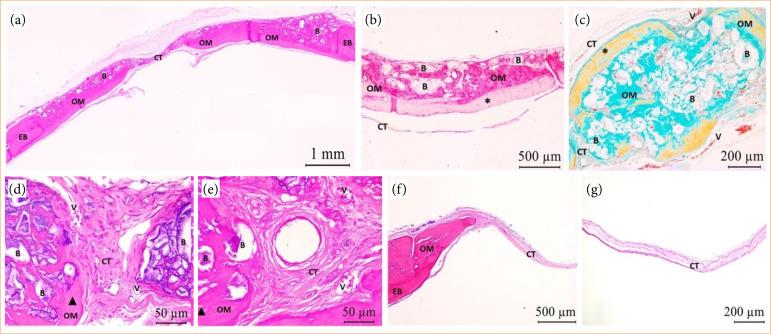 https://cdn.ncbi.nlm.nih.gov/pmc/blobs/2a34/11262755/2fc47a737fcb/1678-2674-acb-39-e392824-gf05.jpg