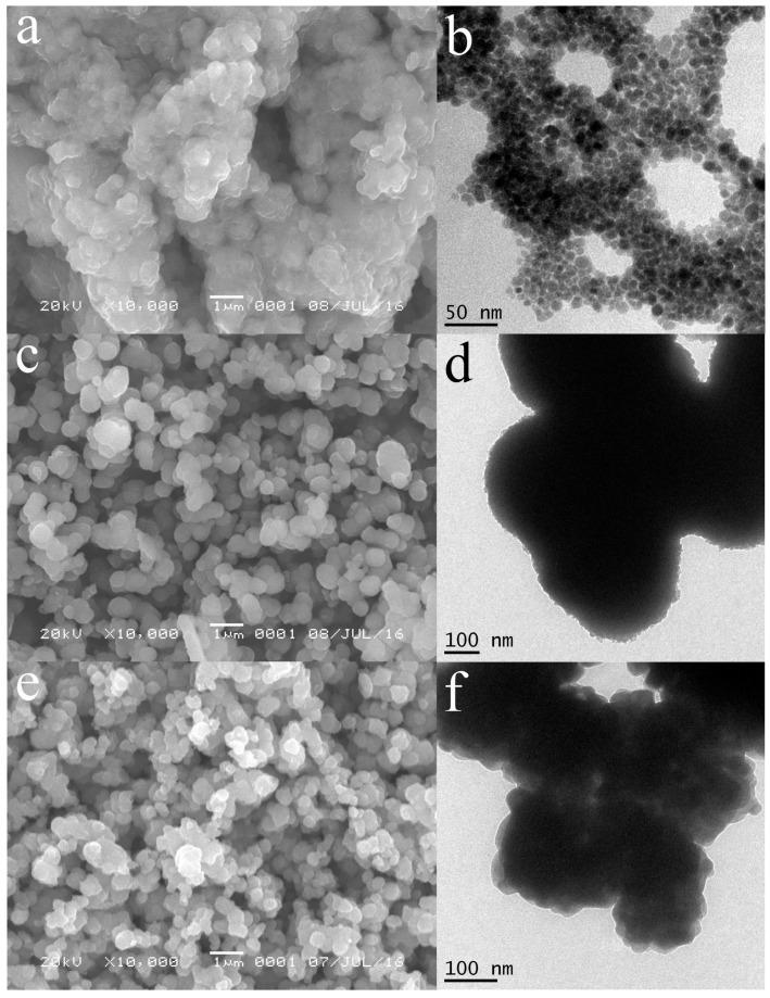 https://cdn.ncbi.nlm.nih.gov/pmc/blobs/2a34/6149852/956e49ae4116/molecules-22-02044-g002.jpg
