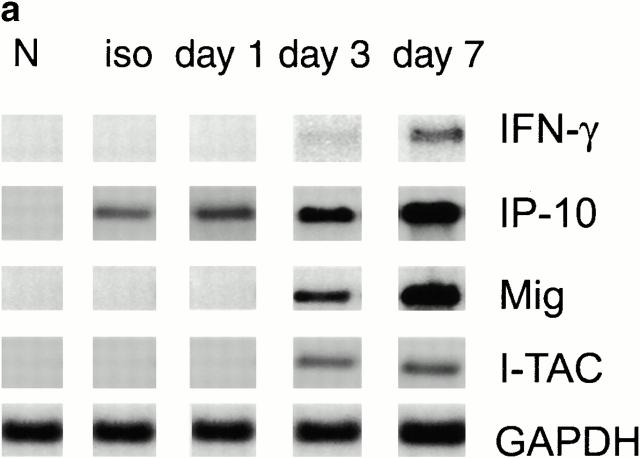 https://cdn.ncbi.nlm.nih.gov/pmc/blobs/2a36/2193411/d78b453654bd/JEM010218.f1a.jpg