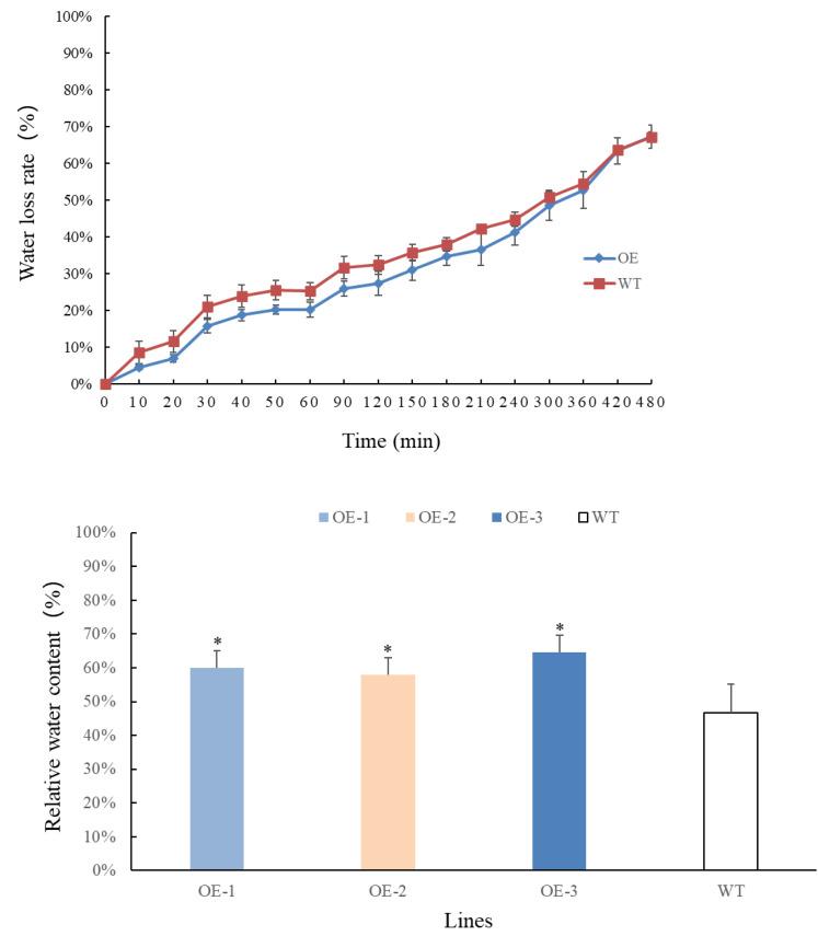 https://cdn.ncbi.nlm.nih.gov/pmc/blobs/2a37/11448651/53361c9db6d3/peerj-12-18024-g004.jpg